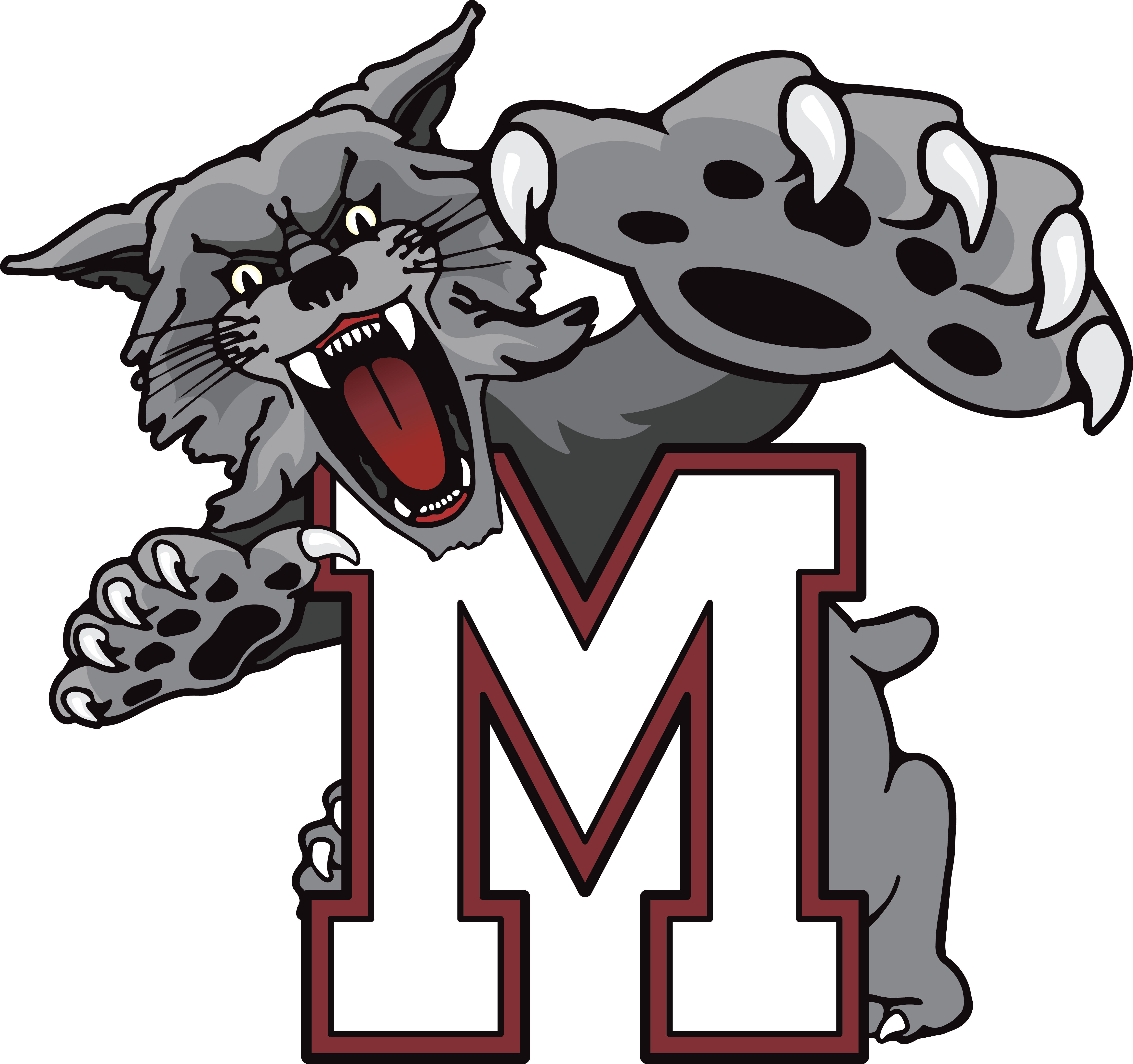 Mechanicsburg Area School District Logo